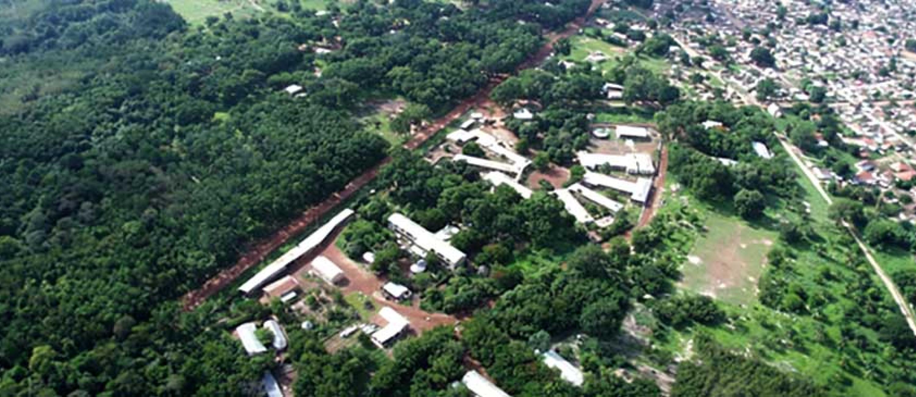 tanguieta-uta.jpg