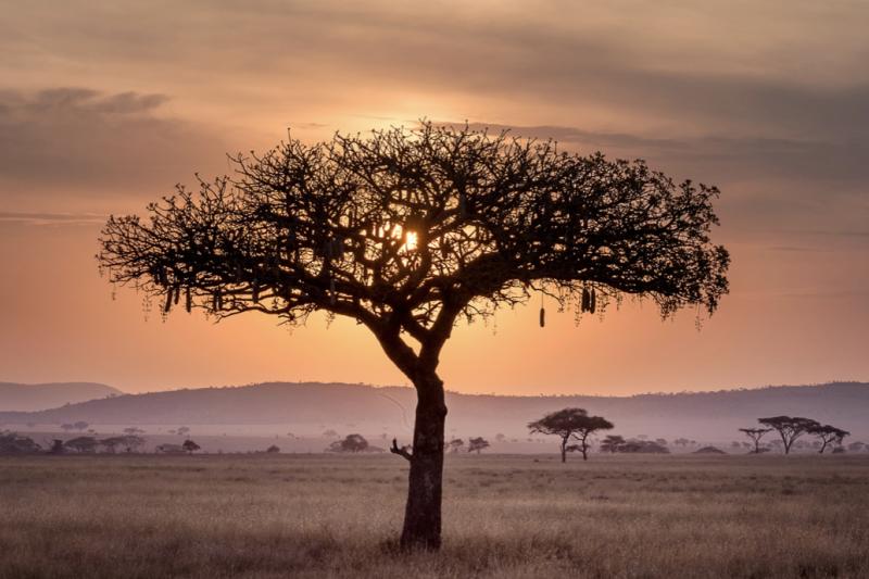 UTA - Fra Piergiorgio Romanelli: un sogno solidale per l'Africa